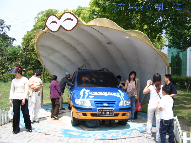 魚坐車 摄影 流星花園