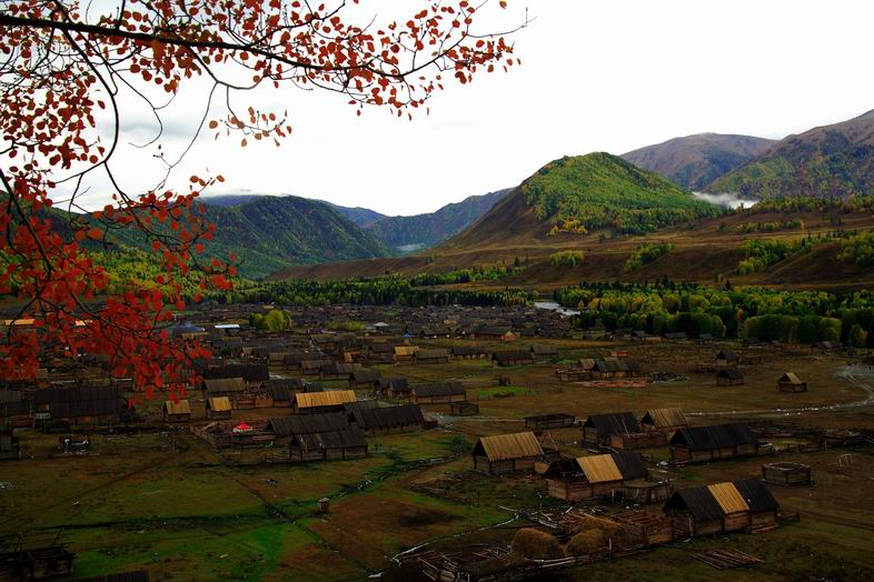 禾木秋韵 摄影 天山大漠