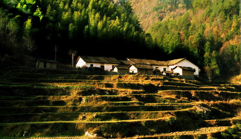 山居岁月 摄影 秀水清波