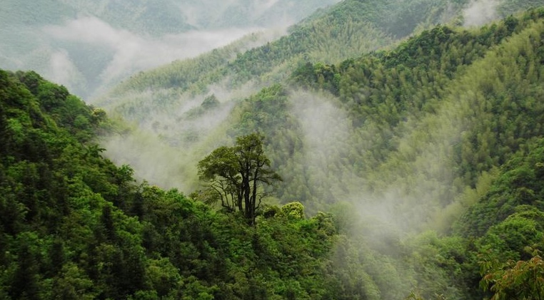 雾漫青山 摄影 楚天舒梦