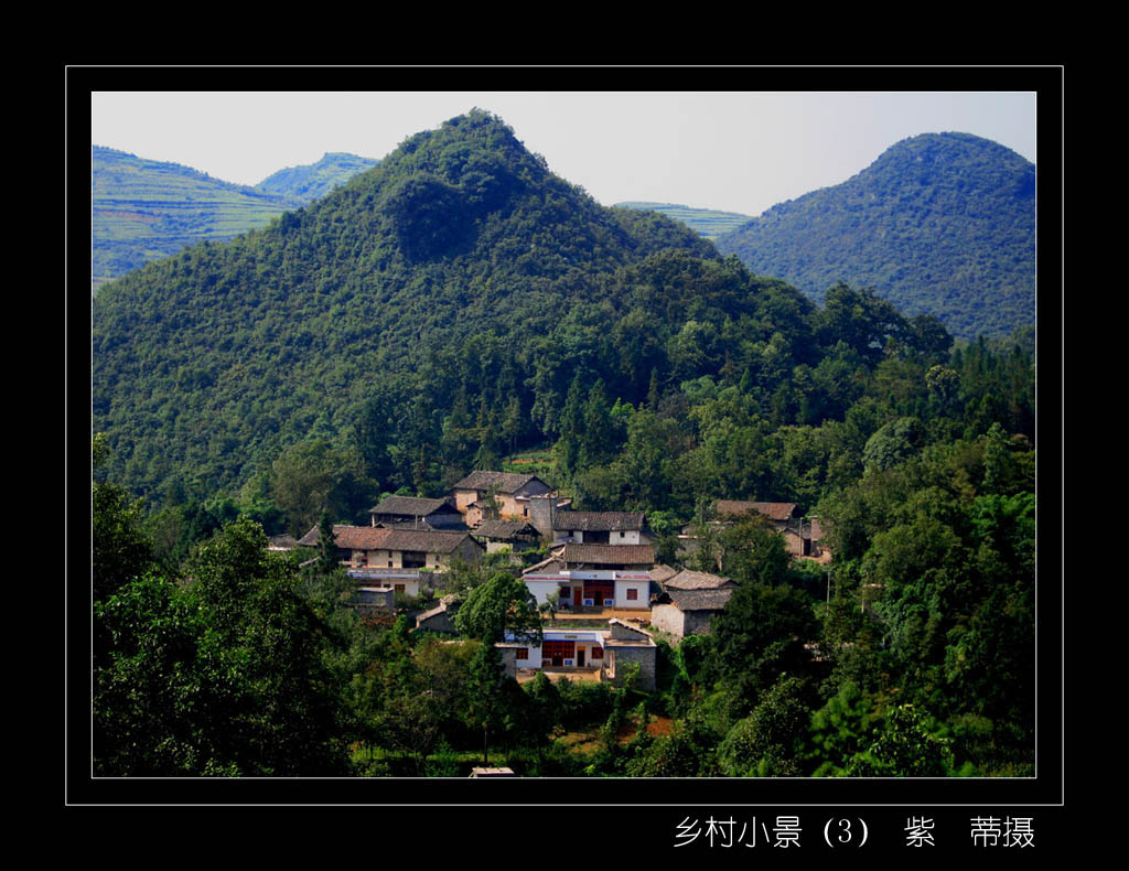 乡村小景 摄影 紫蒂