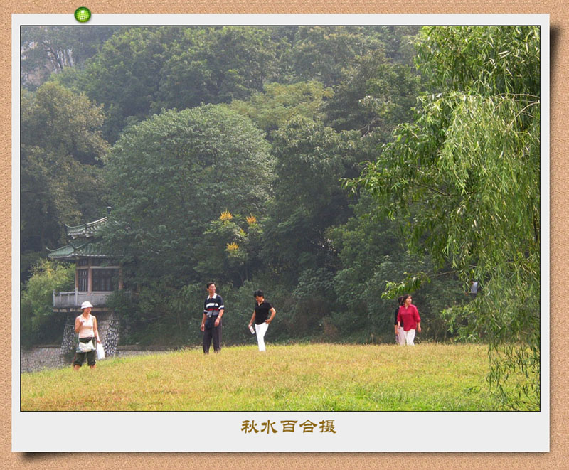 阳光，草地，心境 摄影 秋水百合