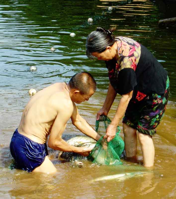 欢喜 摄影 白马乡巴佬