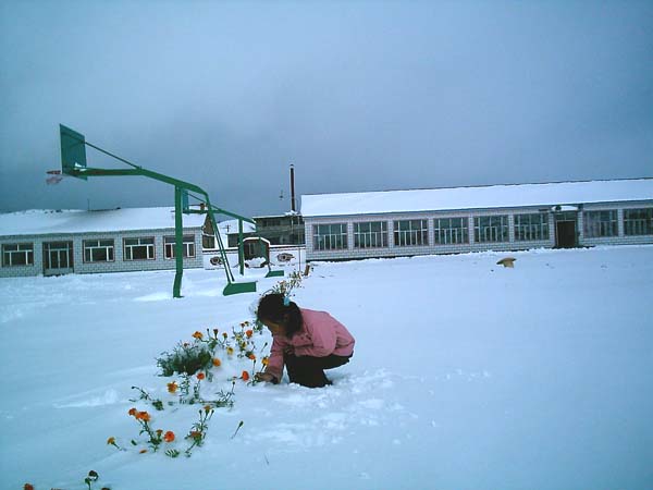 七月雪 摄影 沉默的石头