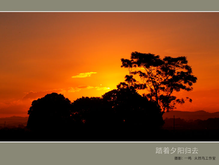 踏着夕阳归去 摄影 一鸣