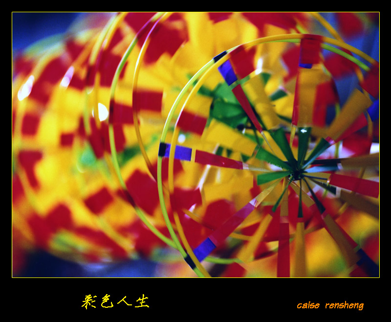 绚丽的生活 摄影 山谷虎啸