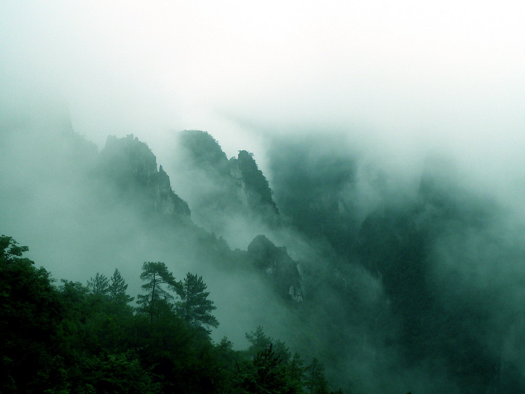 雾满青山 摄影 王爷