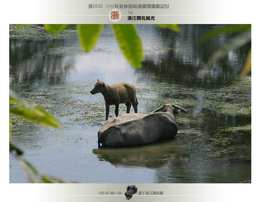 2006年夏休假皖浙赣鄂摄影记行-浙14开化风光（3） 摄影 青5532