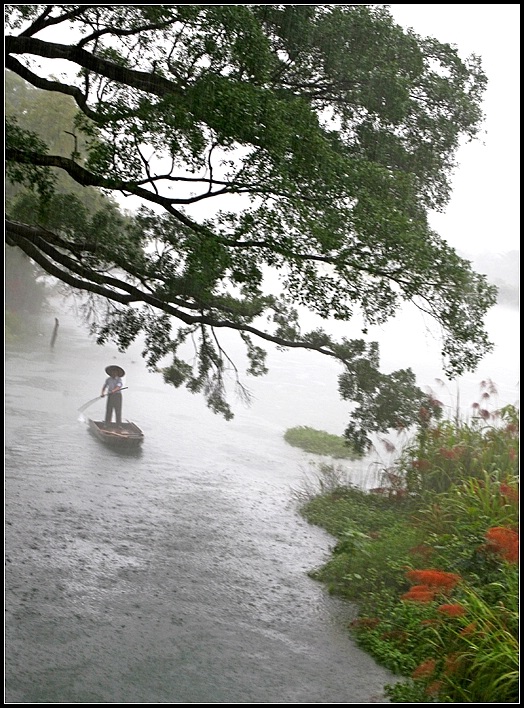 雨未罢 风未起 摄影 闪闪红星