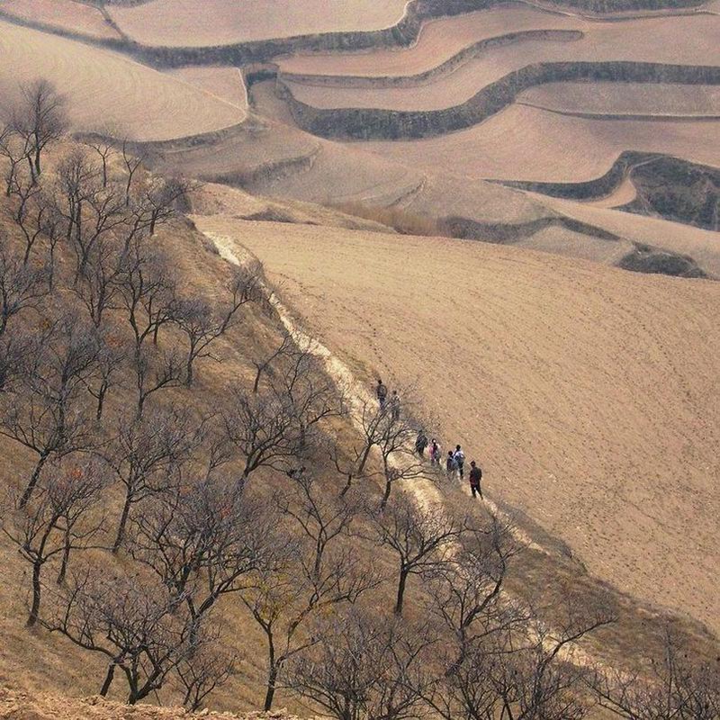 无声的路 摄影 南极冰山