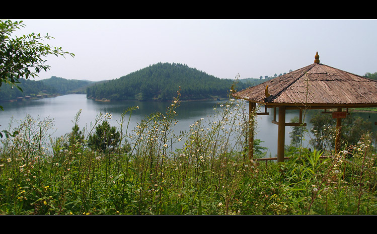 山花烂漫邓阳湖 摄影 一鸣