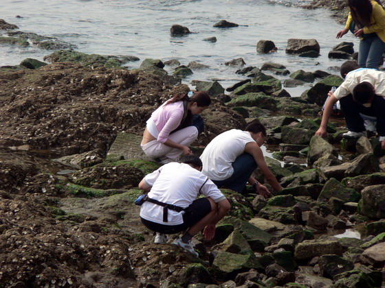 海滩拾趣 摄影 含川