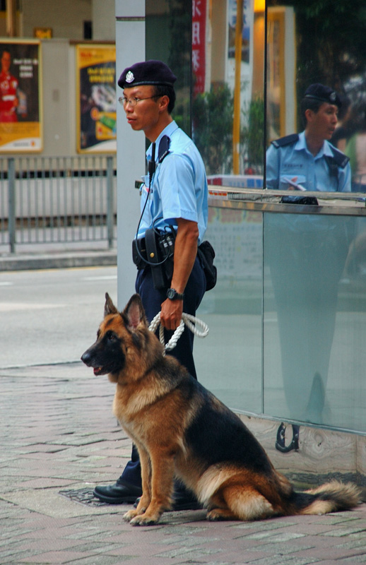 香港街头警察 摄影 liutw