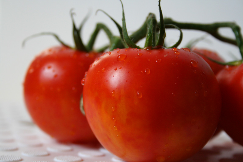 Tomato 摄影 温州理翔