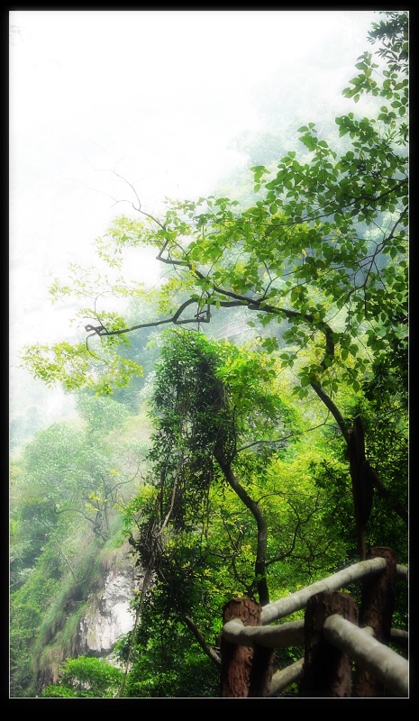 百氵祭沟-----秋韵 摄影 雪雁