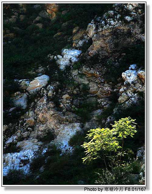 山灵巉峭 摄影 寒塘冷月