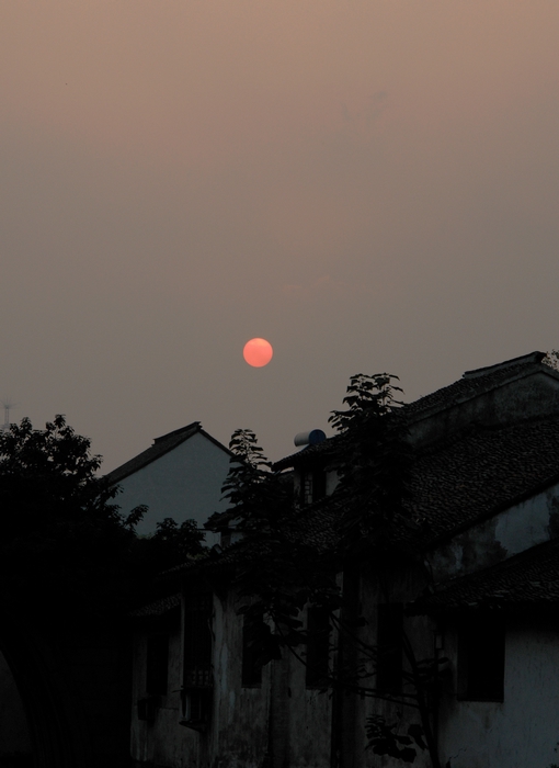 夕阳 摄影 红的茶