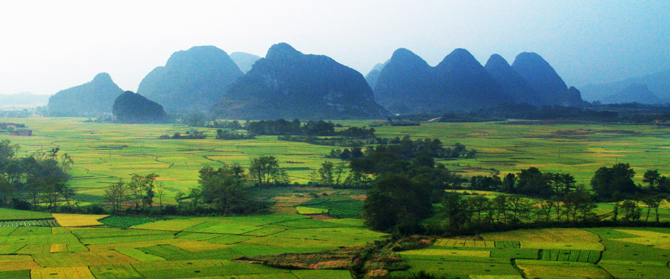 金秋大地 摄影 zhangym