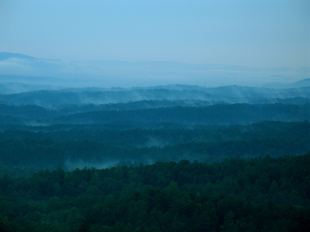 Waking Fog 摄影 Gregski