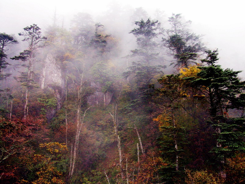 峨眉秋色 摄影 wuyang