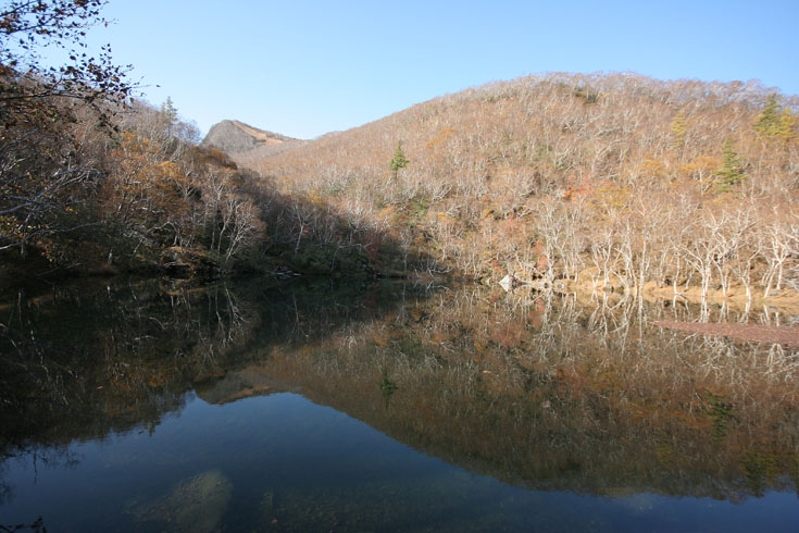 长白山风光 摄影 岳桦