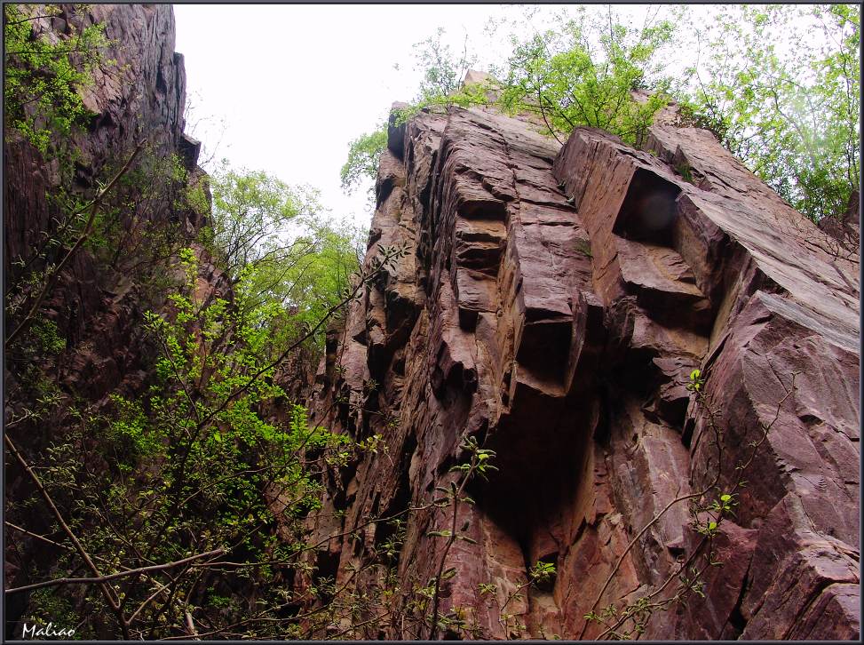 35.红石峡·红石与绿树·阳刚 摄影 马里奥MALIAO