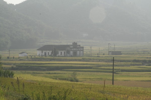 山村 摄影 竹声涛涛