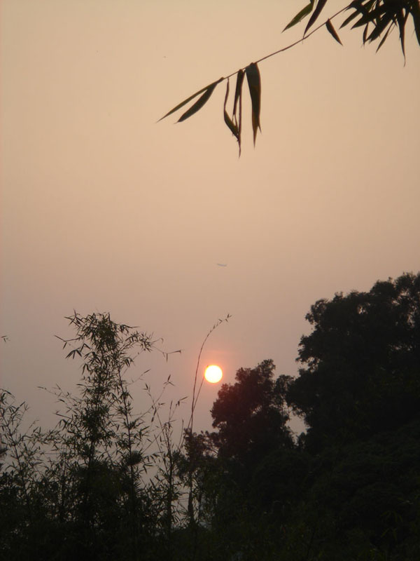 夕阳无限好 摄影 红木河古丽