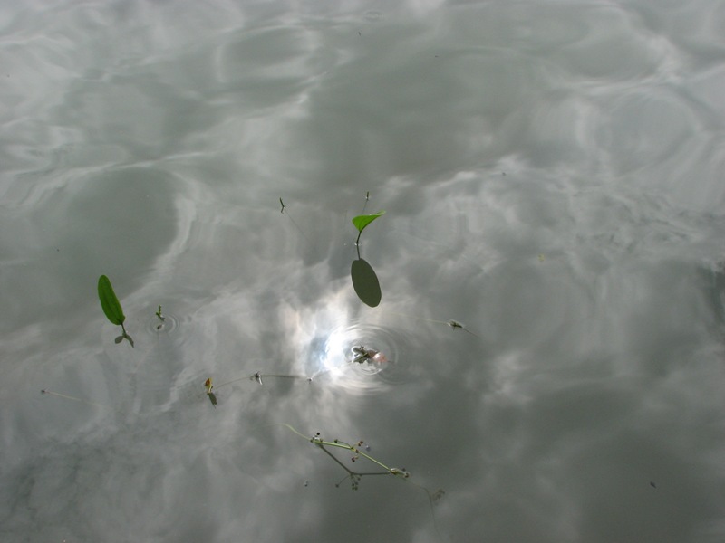 湖水 摄影 溢香兰