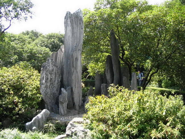 石  樹 摄影 流星花園