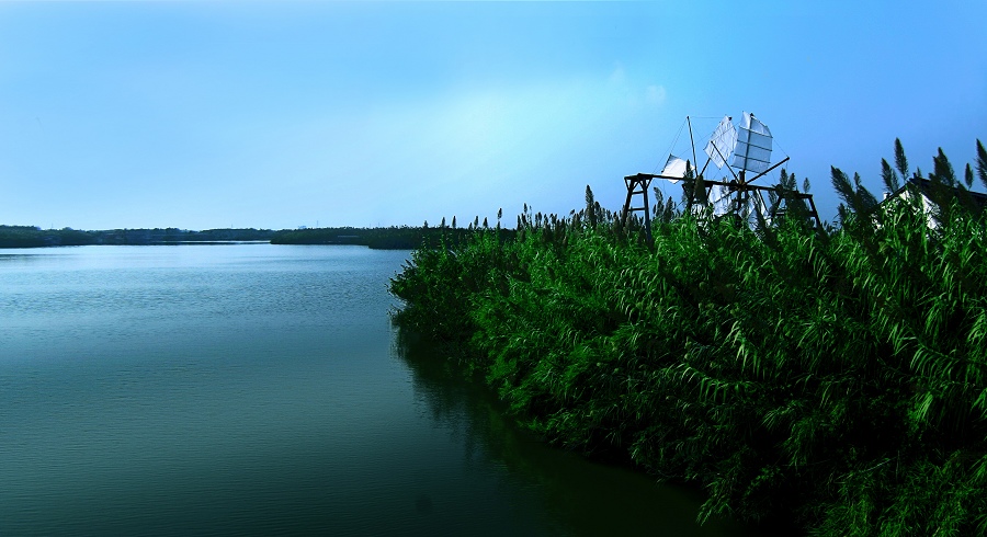 沙家浜 摄影 场长