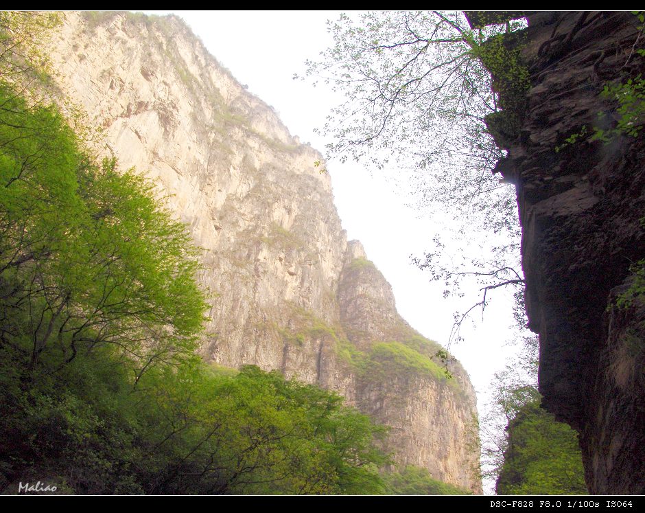 77.云台山·峡谷春色·巍然屹立 摄影 马里奥MALIAO