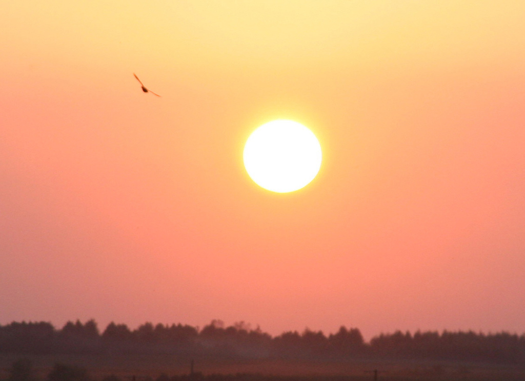 夕阳 摄影 小丑1..温柔