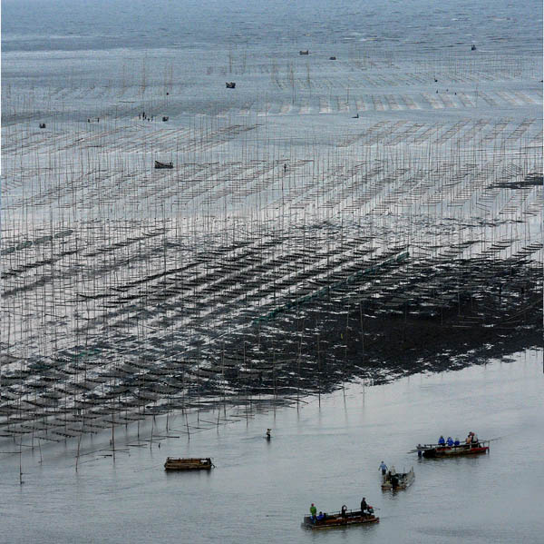 海上田园 摄影 半山腰