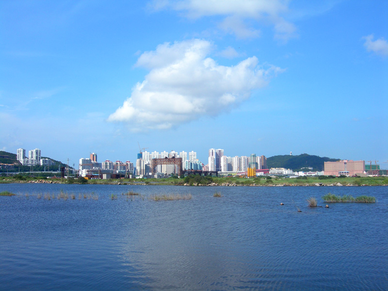 隔海望澳门 摄影 青山依旧