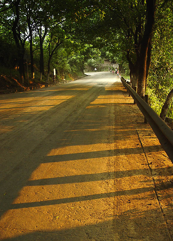 道路音符 摄影 红蝙蝠