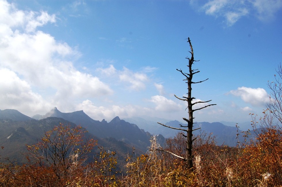 秦岭风光二 摄影 诱人花香