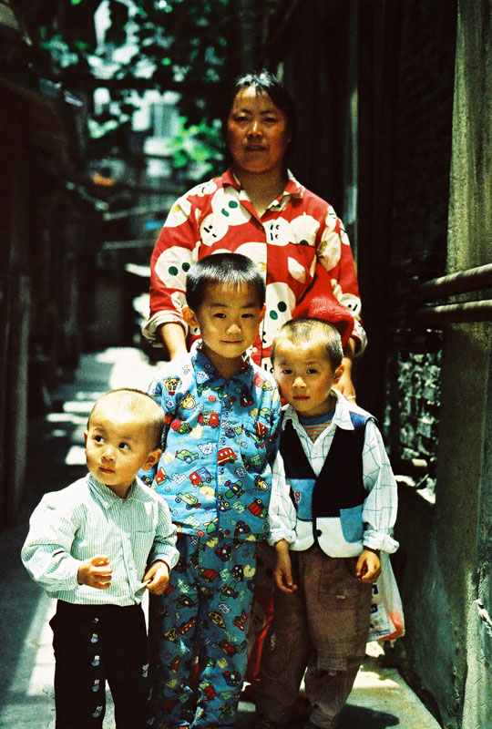 family 摄影 稻草上的火鸡