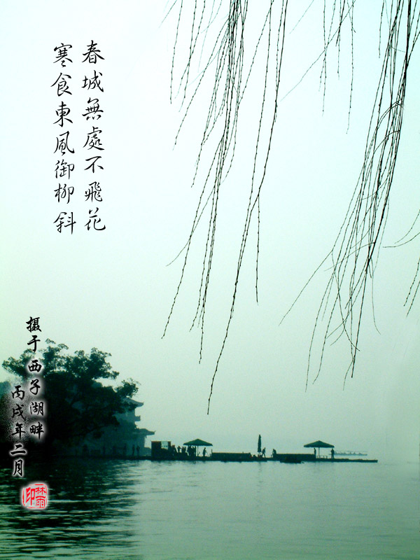 西子湖 摄影 林雨