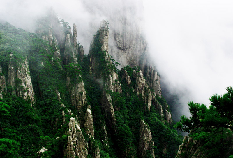 黄山－烟雾缭峰 摄影 chunlan