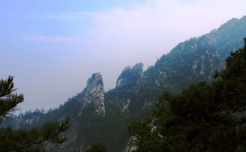 仰天长啸 摄影 雨好