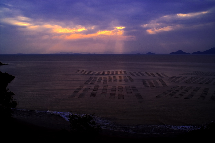 暮色海湾 摄影 春之驴