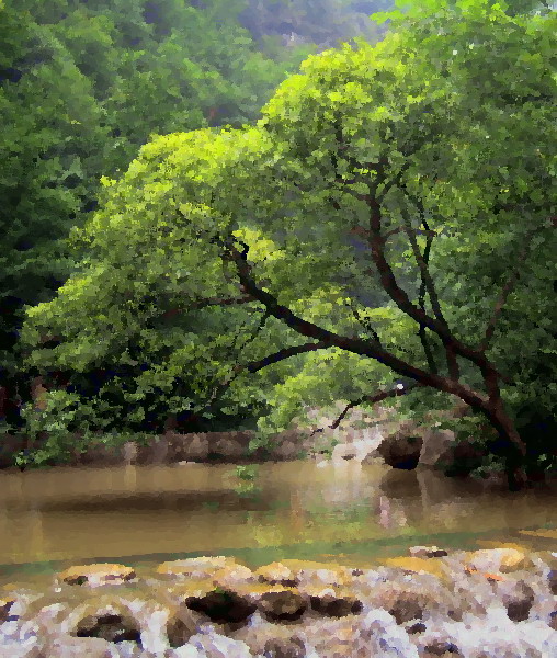 金丝峡风光 摄影 任正华