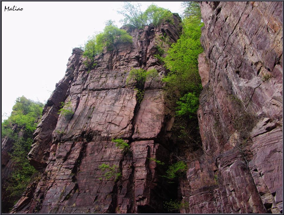 40.红石峡·温盘峪大峡谷·挺立 摄影 马里奥MALIAO