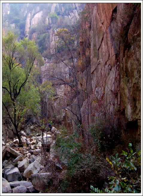 泰山巴山沟秋色 摄影 高原大鹏