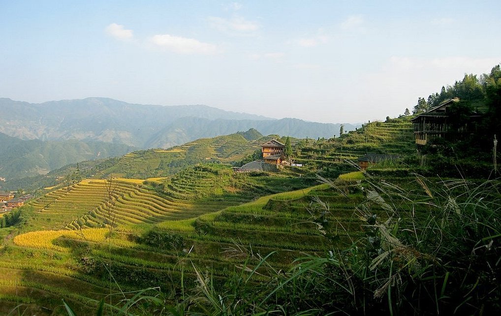 桂林旅游（1）龙脊梯田 摄影 永纯