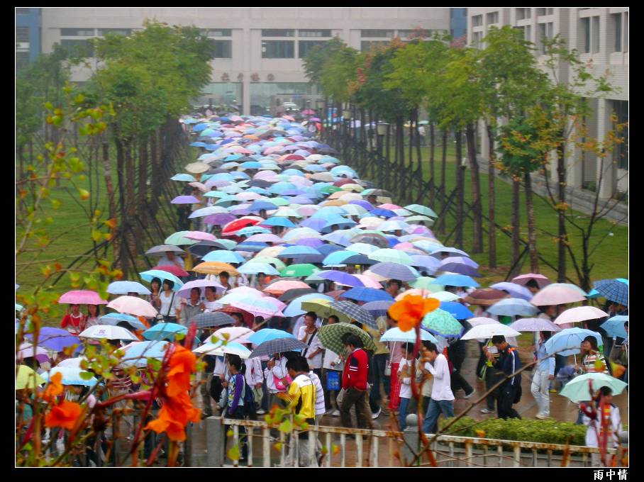 雨中情 摄影 阿扁