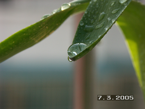 空山新雨后 摄影 家有宁儿