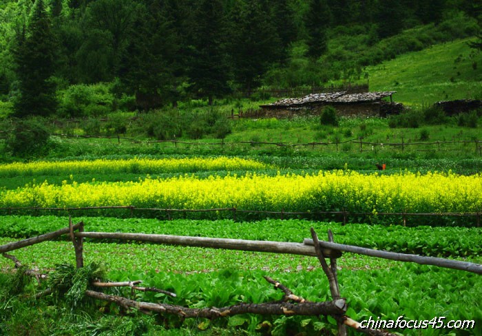 恬静 摄影 山中客