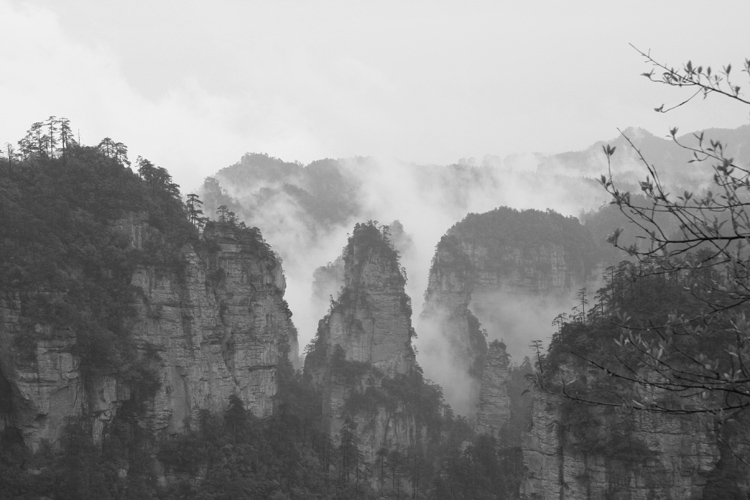 水墨张家界 摄影 岷山雪